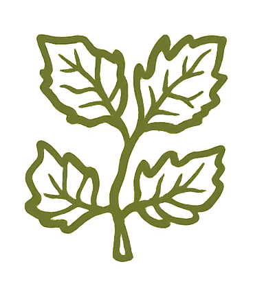 Ingredientes frescos